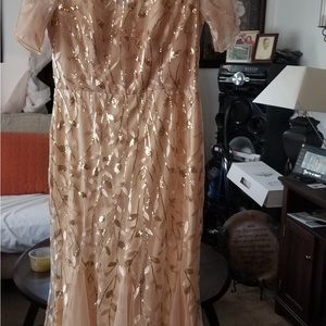 Dress size 10